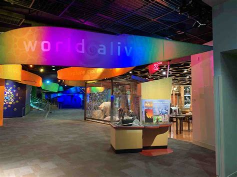 Discovery Place Science: Where Curiosity Meets Innovation and Wonder Awaits!